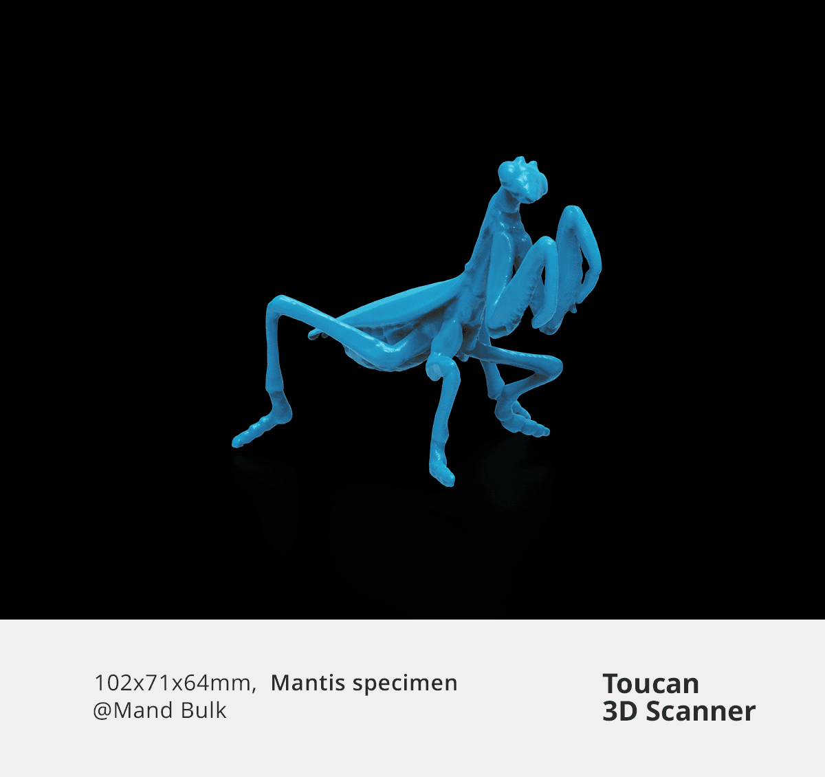 Intricate 3D scan of a mantis specimen model captured with Toucan 3D scanner.
