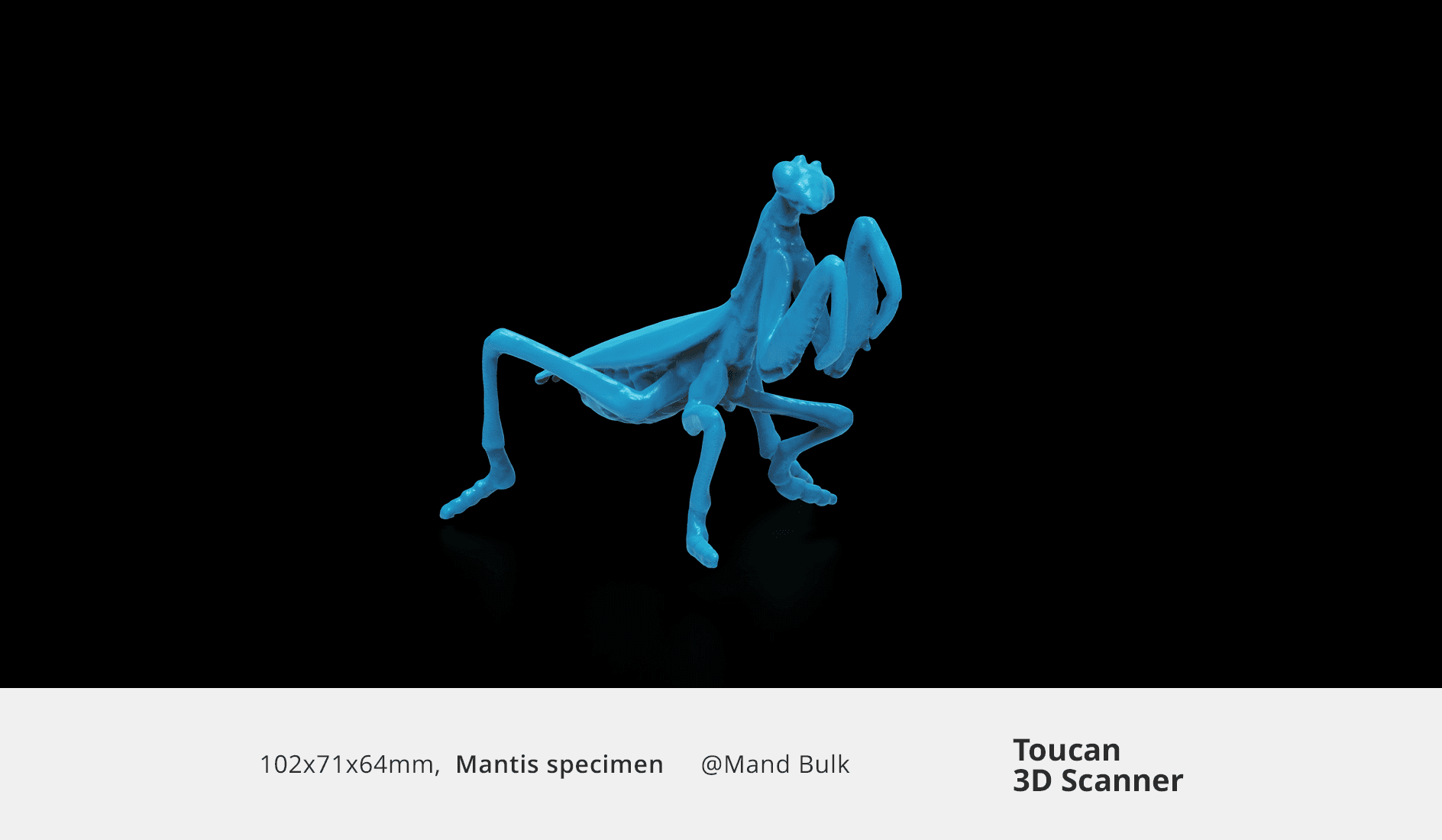 Intricate 3D scan of a mantis specimen model captured with Toucan 3D scanner.