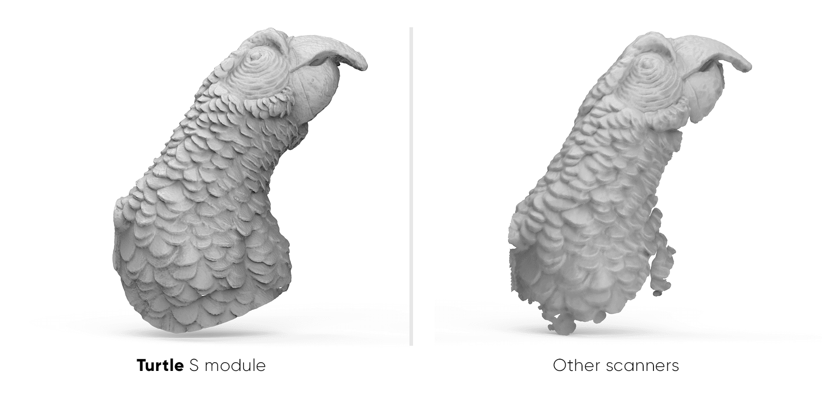 Parrot 3D scan comparison: 3DMakerpro Turtle S module captures superior feather detail versus other blurry 3D scanners.